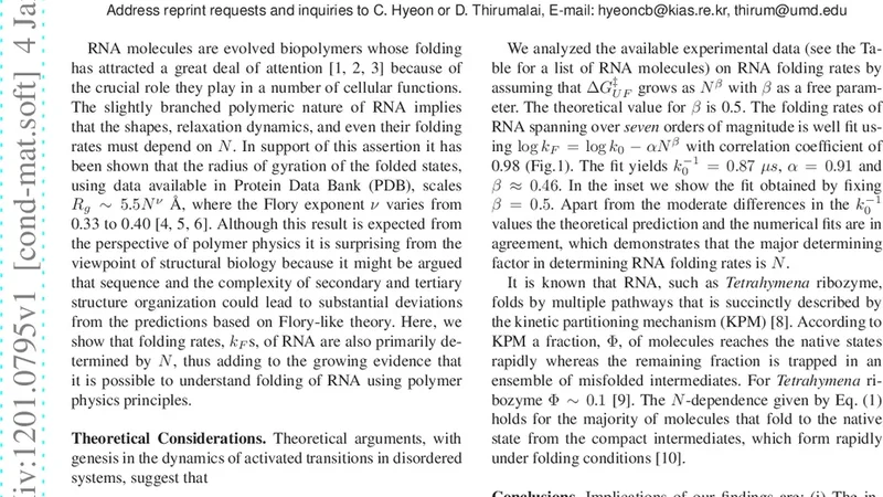 RNA 접힘 속도는 사슬 길이에 의해 결정된다