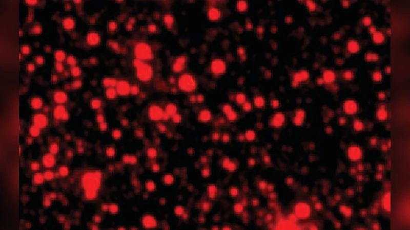 감마선 블레이저 후보 탐색 INTEGRAL 미확인 소스와 WISE 색상 연계