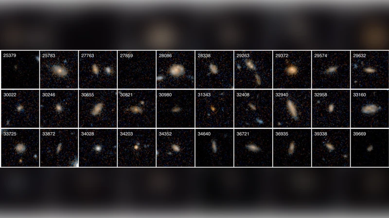 숨은 퀘이사 호스트는 디스크 대규모 합병이 아니다