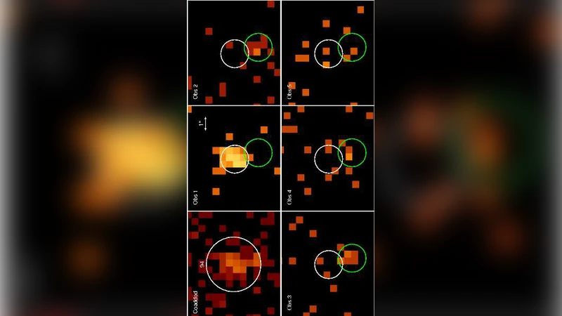 범용 메트릭을 활용한 리만 다양체 해밀턴 몬테카를로