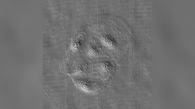 카드헤린 기반 세포간 접착이 상피 세포‑기질 장력 분포를 조절한다