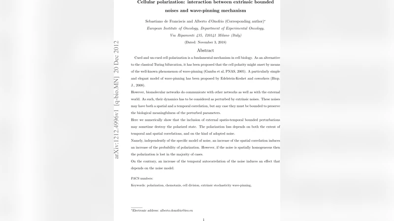 외부 경계 잡음과 파동 고정 메커니즘이 세포 극성에 미치는 영향