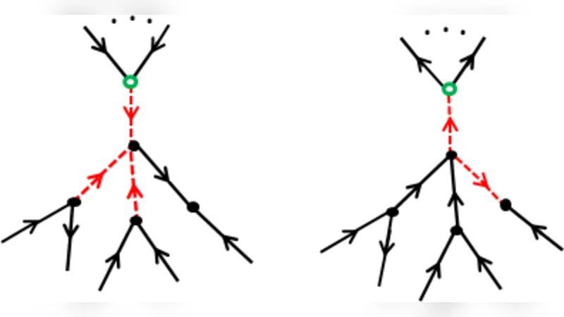 방향성 복합 네트워크의 핵심 구조와 단계적 코어 형성