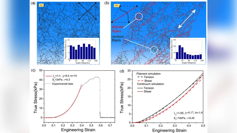 섬유 매트릭스에서 장거리 힘 전달을 가능하게 하는 인장 유도 섬유 정렬