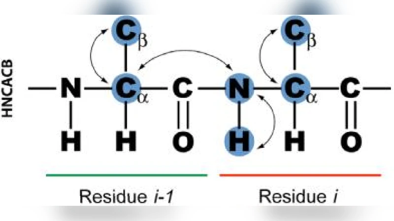 인공지능 기반 백본 NMR 데이터 자동 할당
