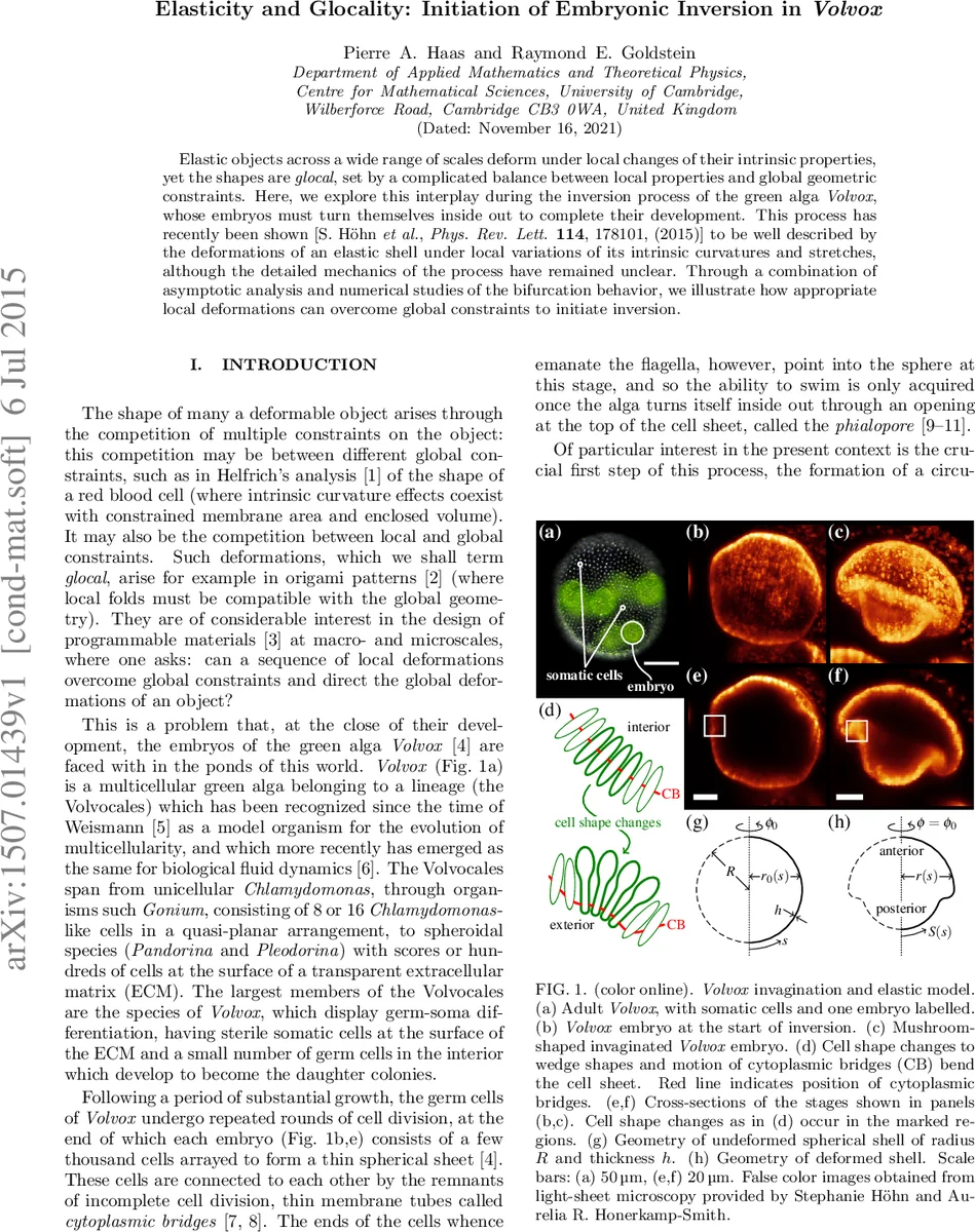 공간 정보로 살펴보는 뇌 속 유전자 회로 지도: 피드백 루프를 풀어내는 새로운 베이지안 모델