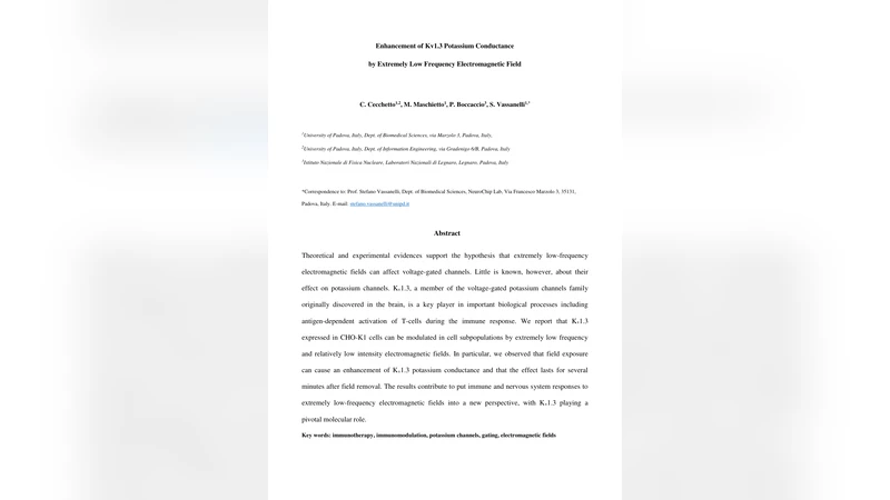 극저주파 전자기장이 Kv1.3 칼륨 채널 전도도에 미치는 증강 효과