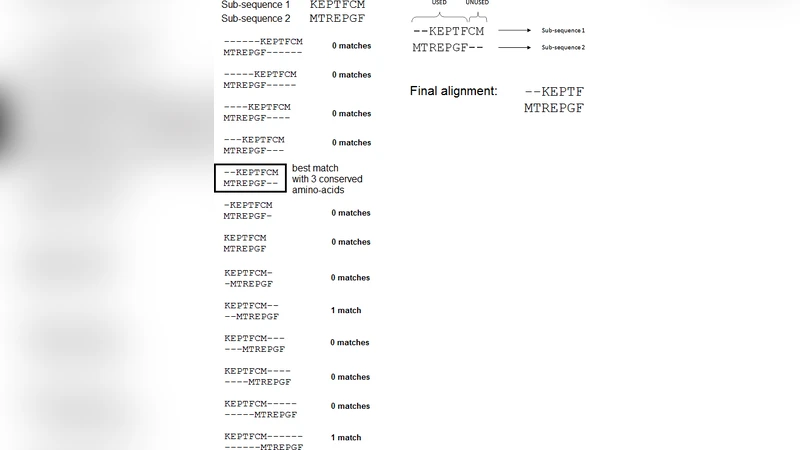 공간 효율적인 원거리 동형 단백질 유사성 검색 방법
