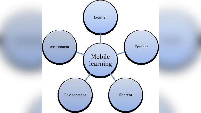 모바일 학습 성숙도 모델 적용 연구
