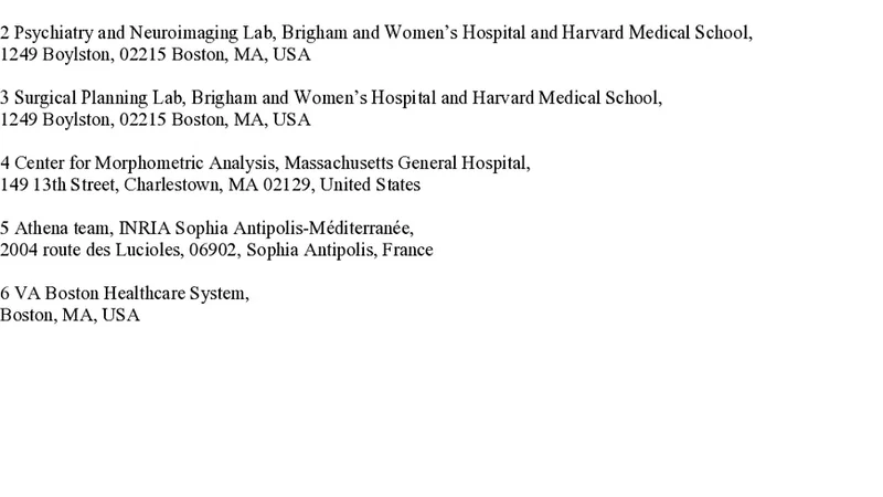 뇌백질 질의 언어 인간 백질 해부학을 위한 새로운 기술