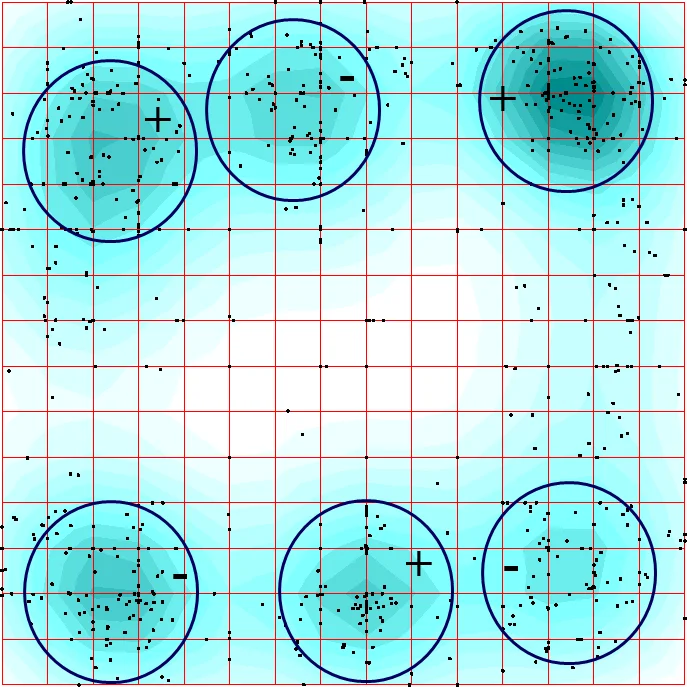 시베리안 전나무 전사체의 통계적 대칭성 탐구