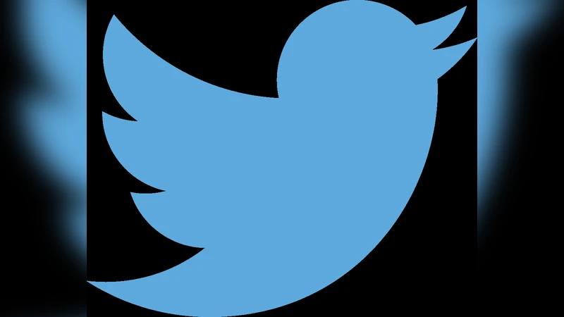 예외적 사건 중 온라인 소셜 네트워크 상호작용 분석