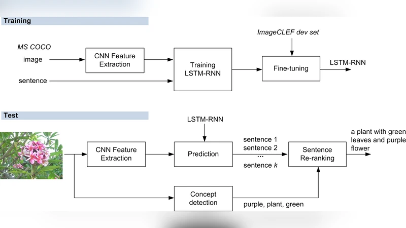 시리아 연대기에서 발견된 최초의 오로라·두 꼬리 혜성 그림과 그 과학적 의미