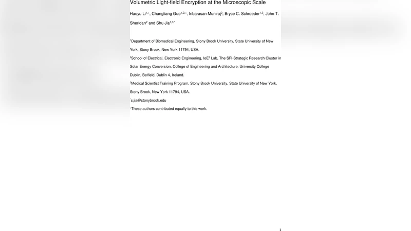 미세 스케일 3차원 볼류메트릭 라이트필드 암호화