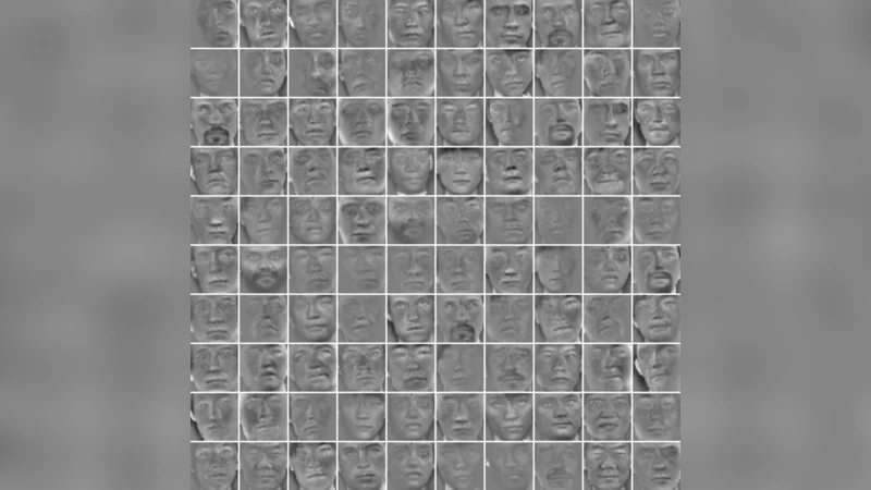 다중 블록 데이터의 공통·개별 특징 추출을 위한 그룹 구성 요소 분석