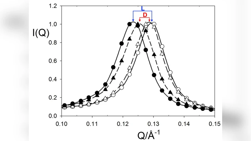 점토와 아미노산의 손잡이: 수화된 베르미큘라이트에서 히스티딘의 입체특이성