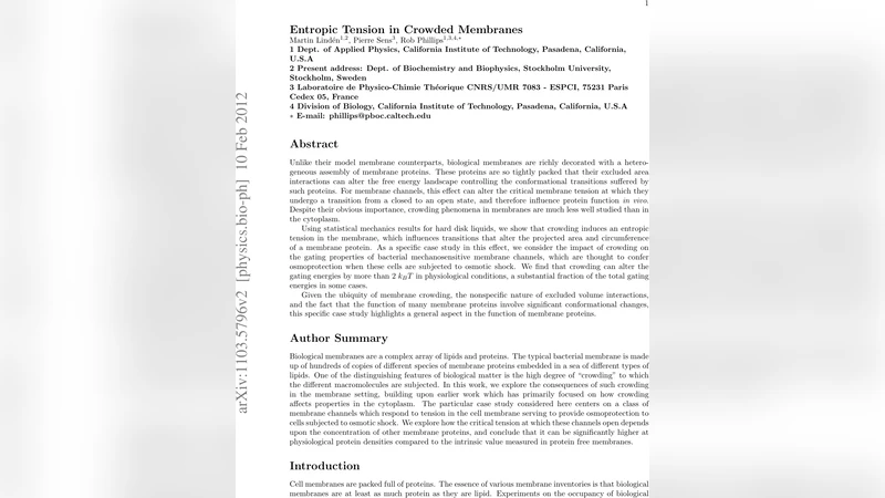 막 내 혼잡이 유발하는 엔트로피 장력과 이온 채널 개폐