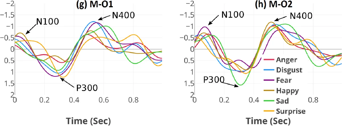 아즈텍 다이아몬드 무작위 도미노 타일링과 북극 원리 정리