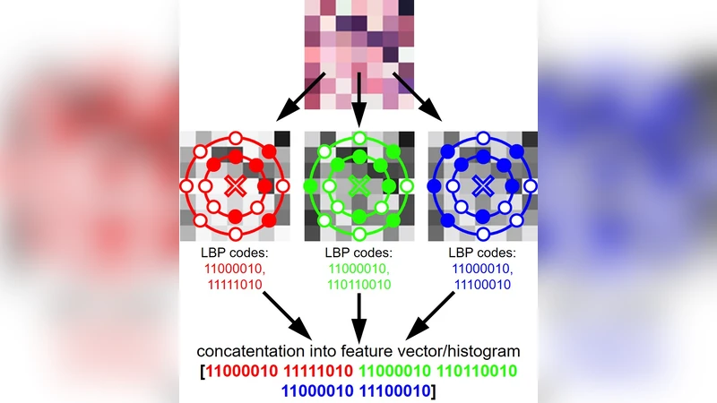 다중방향 LBP 기반 빠른 사구체 검출 및 평가
