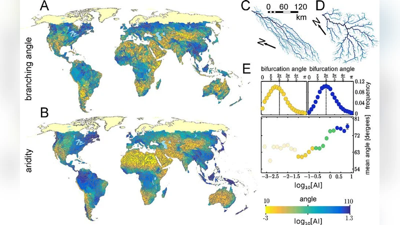 SHALON에서 관측된 무거운 중성미자 붕괴