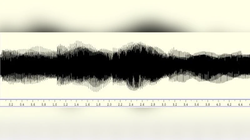 🧠🎶 “뇌의 소리를 듣다: EEG를 음악으로 변환하는 혁신적 접근”