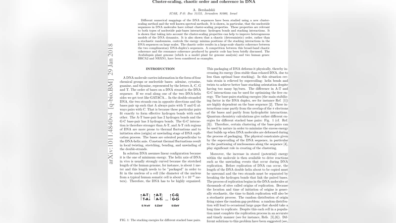 DNA 서열의 클러스터 스케일링과 혼돈적 질서