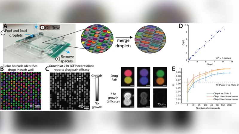 마이크로플루이딕스 혁신: 기능·접근성·응용 확대