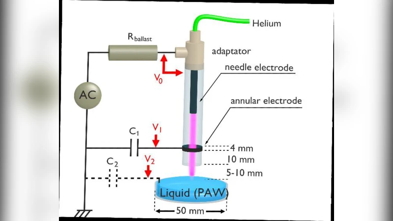 플라즈마와 플라즈마 활성 액체가 렌즈 씨앗 발아와 생장에 미치는 반응성 종 분석