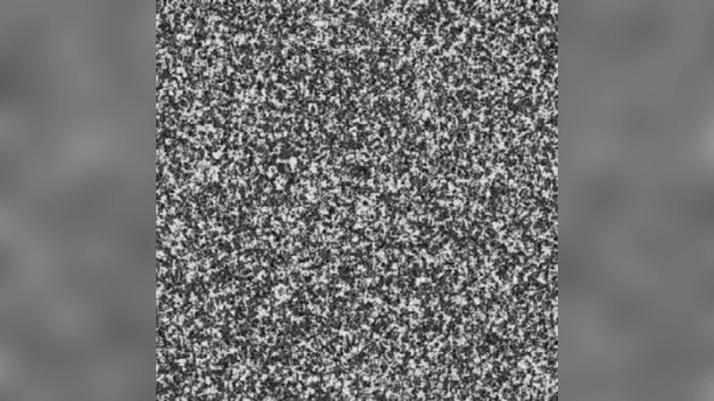 IAB 모체 소행성의 금속과 규산염 분리 시기 재조명