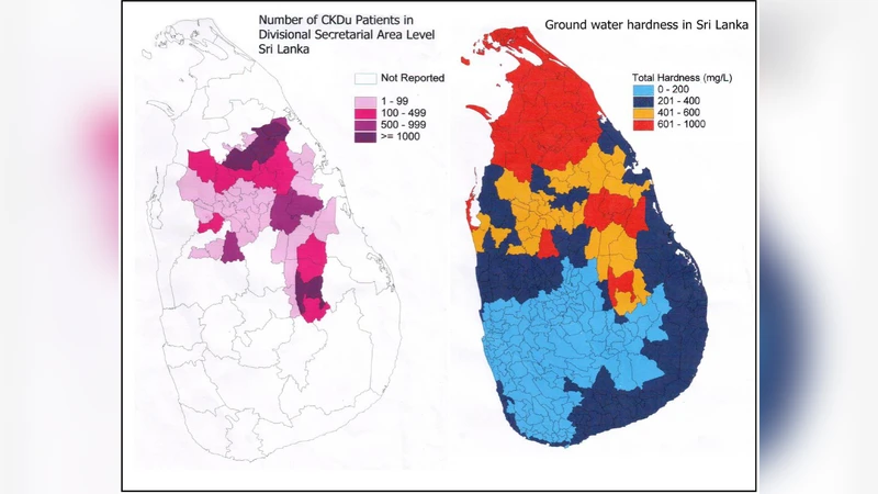 스리랑카 원인불명 만성신장질환 종합검토