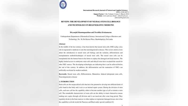 신경줄기세포의 발전과 재생의학 적용: 현황과 미래 전망