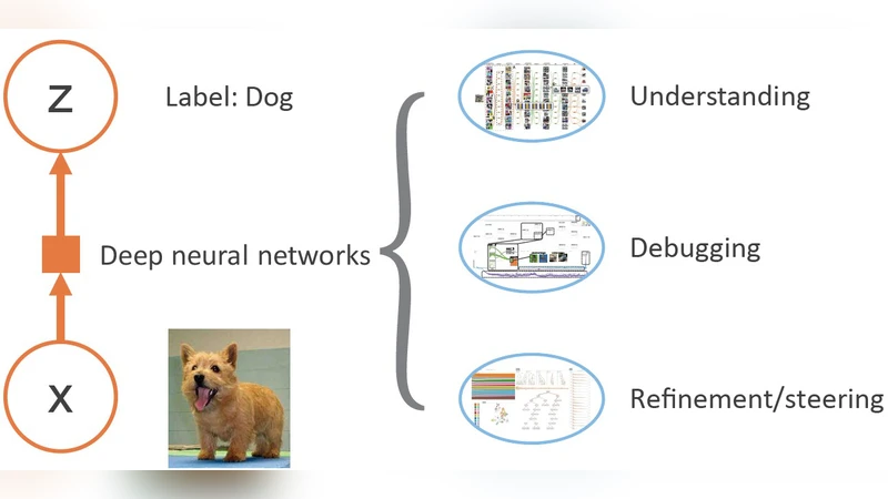 시각 분석을 통한 설명 가능한 딥러닝