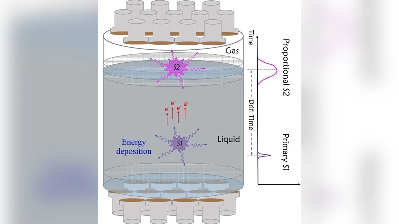 판다X 4톤 전방 전자시스템 프로토타입