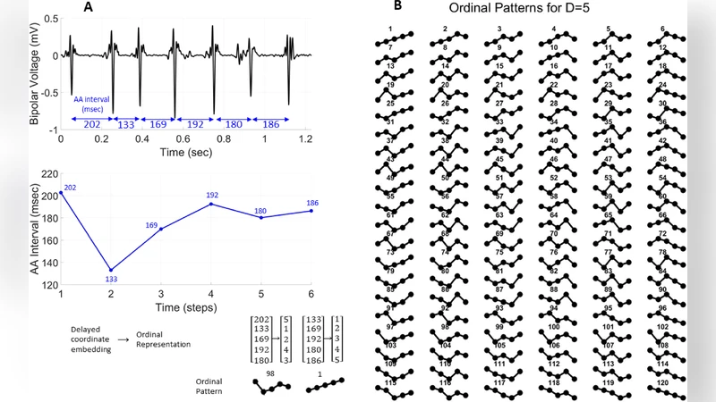 인간 심방세동은 확률적인가 결정적인가
