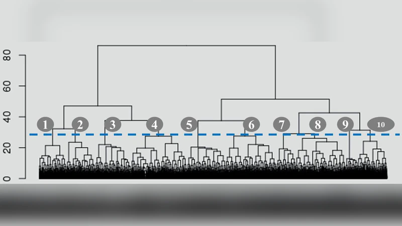오하이오 입원 환자 다중질환 군집 분석: HAC 기반 새로운 인사이트