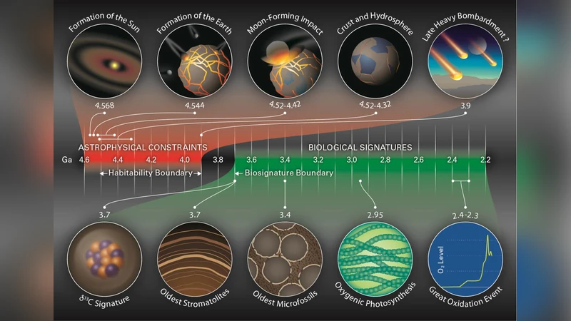 생명 탄생 시점의 시간 창 제한