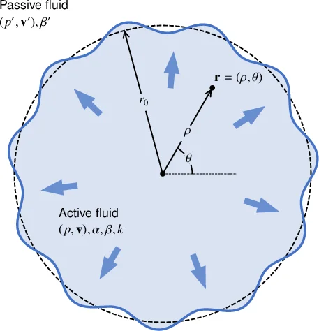 활성 유체 모델로 보는 종양 침윤의 손가락 불안정성