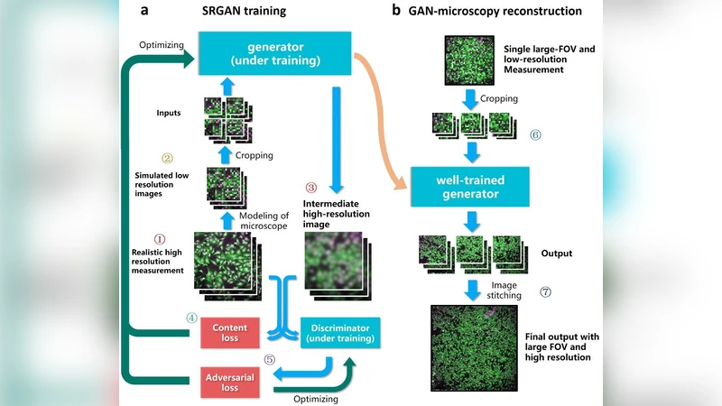 GAN 기반 고해상도 대면적 현미경 이미지 복원