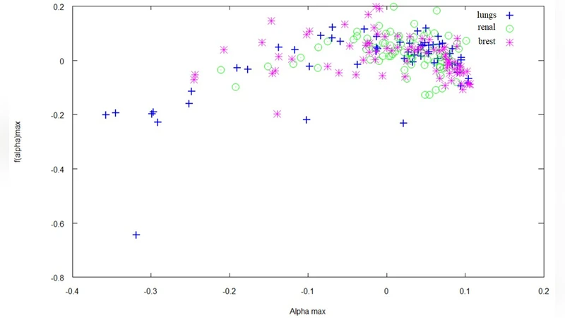뼈 전이암 원발암 분류를 위한 다중프랙탈 기반 신경망 모델