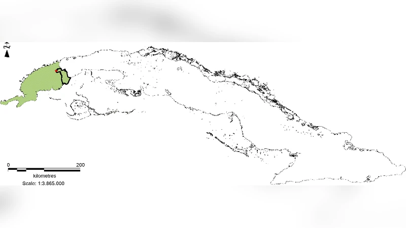 쿠바 ‘엘 아브론’ 화석층의 포유류 다양성 재조명