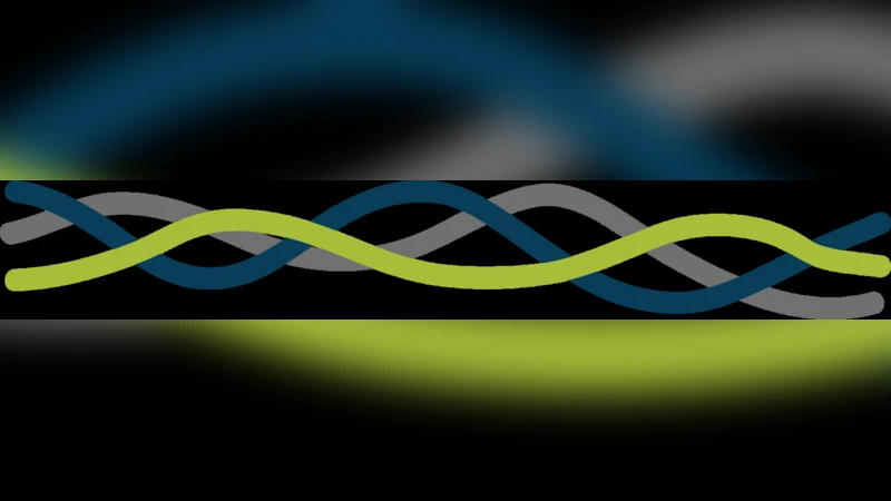 통계적 공개통제의 미래