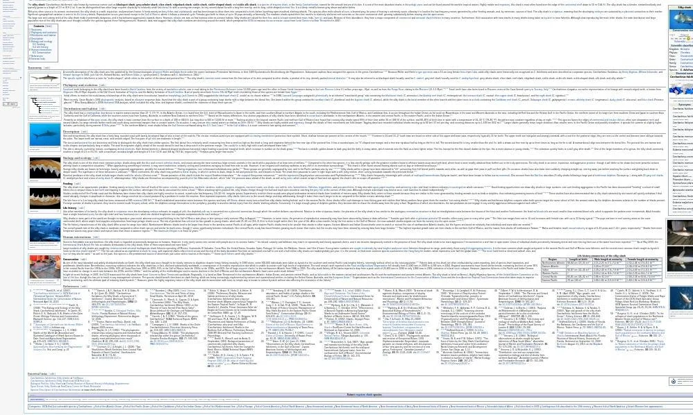 계층적 최적화를 위한 중첩 극값 탐색: 스택엘버그 균형 수렴