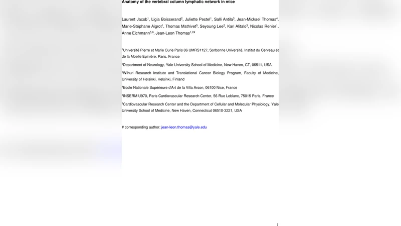 척추 림프관 네트워크 전신 지도