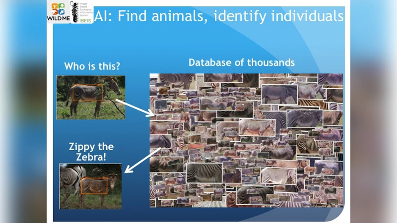 인공지능으로 사회적 가치를 창출하다