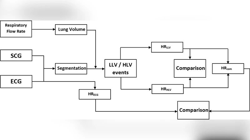 폐용량 단계별 심박수 모니터링: 심전도 없이 체진동 신호 활용