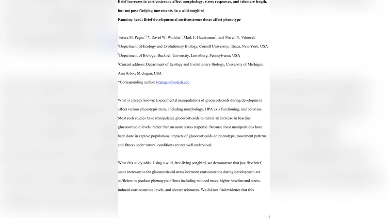 짧은 코르티솔 증가가 야생 새의 형태와 텔로미어에 미치는 영향