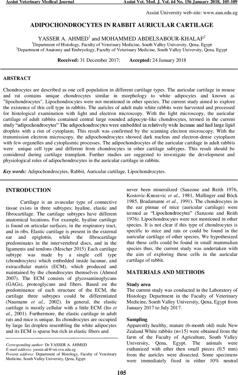 수학 증명의 진실과 함정