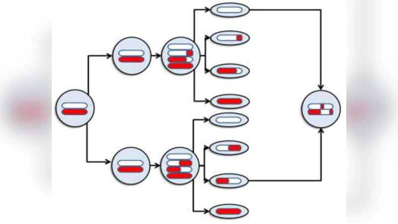 성 그리고 공동진화