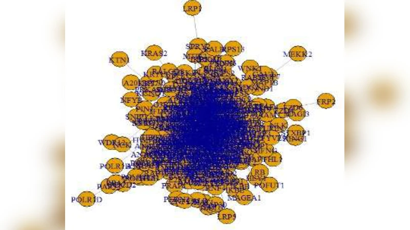 종양과 정상 세포의 단백질 상호작용 네트워크 매개변수 비교