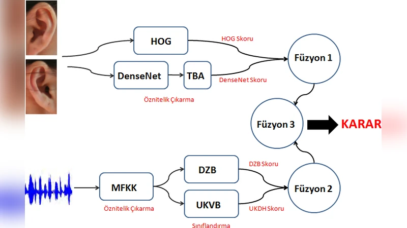 쌍둥이 인식을 위한 다중 바이오메트릭 시스템 음성·귀 기반 다중 모델